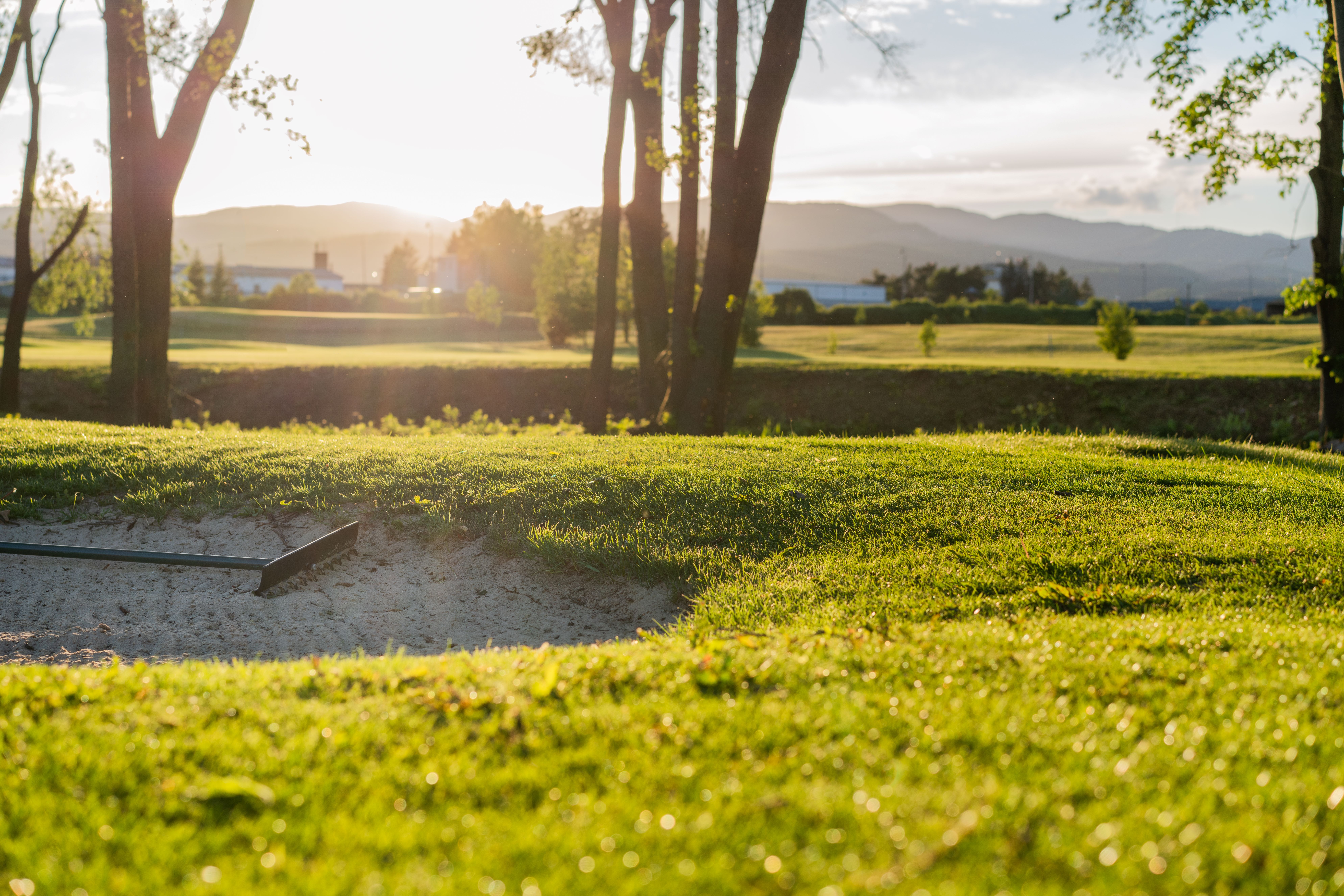 Photo 28-05-2022, 19 31 41